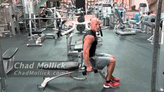 Seated Dumbbell Hammer Curl [upl. by Jeni]