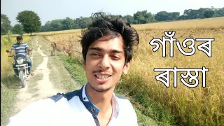 নাম নোহোৱা Vlog by Dimpu [upl. by Parks427]