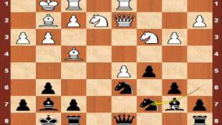 Kasparov vs Karpov 2009  Game 1 [upl. by Herzen]