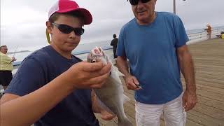 How to Fish From a Pier [upl. by Leahciam]