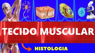 TECIDO MUSCULAR  HISTOLOGIA ENSINO SUPERIOR  TIPOS ESTRUTURA CARACTERÍSTICAS E COMPOSIÇÃO [upl. by Bencion]