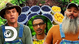 Mike amp Jerry Team Up With Their quotEnemyquot To Make Blueberry Lemonade Moonshine  Moonshiners [upl. by Nifled]