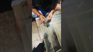 Toothpick se science ka amazing practical physics science foryou shorts experiment [upl. by Trainer259]