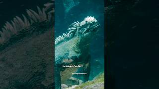 Mysterious Creature That Looks like Godzilla science sciencefacts [upl. by Bartolome904]