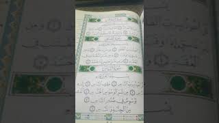 Surah Al ikhlas Surah Al NAS Surah Al Falak ki Tilawat Shortvideo [upl. by Dragoon]