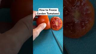 How To Freeze Garden Tomatoes shortsvideo [upl. by Ahsym]