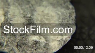 Gneiss Rock Extract [upl. by Kciredec]