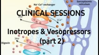 Clinical sessions Inotropes amp Vesopressors  part 2 e  collection [upl. by Philly150]