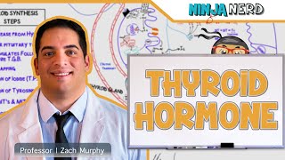 Endocrinology  Synthesis of Thyroid Hormone [upl. by Aseeral]