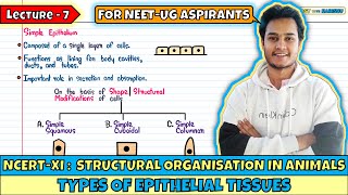 Lec 7 Types of Epithelial Tissues Structural Organisation in Animals Class 11 NEET Harishu [upl. by Norry]