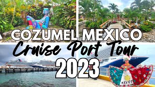 Cozumel Mexico Cruise Port 2023 Tour amp Should You Book A Shore Excursion [upl. by Letitia]