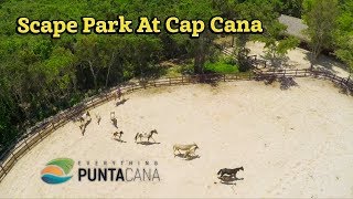 Best Scape Park At Cap Cana Tours  Tour Scape Park Punta Cana [upl. by Ahtinak]