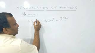 Benzoylation of Amine  Properties of Amines [upl. by Curzon889]