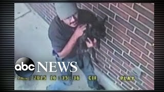 FedEx Driver Allegedly Dognaps a Pair of Puppies [upl. by Eeralav]