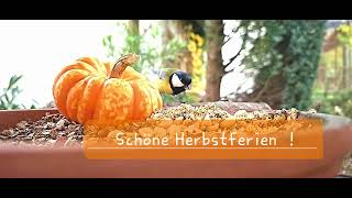 Schöne Herbstferien [upl. by Hannibal]