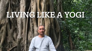 LIVING IN THE HIMALAYAS LIKE A YOGI  A BEGINNER [upl. by Corey529]