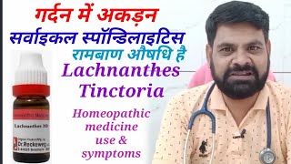 Lachnanthes Tinctoria 30 Uses in Hindi  Lachnanthes 30 Lachnanthes 200 Lachnanthes Uses in Hindi [upl. by Ocire189]