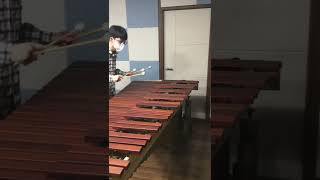 Hes a pirate  marimba cover [upl. by Irovi]