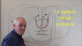 Heart 3 Pulmonary and Systemic circulation [upl. by Fenny]