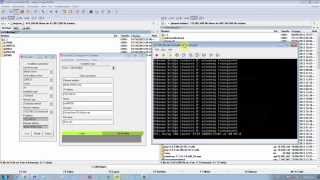 Install Alcatel OXE 101 VMWare ESXi [upl. by Nolrev]