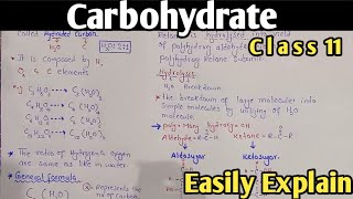 Carbohydrate Fully Explained In Urdu Hindi  Class 11 Biology [upl. by Jehius]