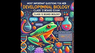 CLASS 12 DEVELOPMENT BIOLOGY GAMETOGENESIS MOST IMPORTANT QUESTION FOR 4 MARKS [upl. by Nhguavoj]