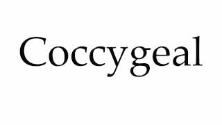 How to Pronounce Coccygeal [upl. by Akimrej320]