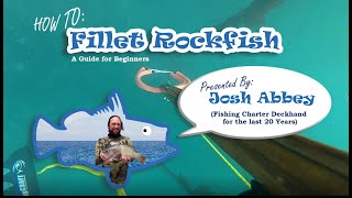 HOW TO Fillet Rockfish [upl. by Bev899]