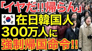 【海外の反応】日本在住の不正受給隣国人300万人に帰国命令！隣国人「ヤダ‼︎帰らん‼︎」【にほんのチカラ】 [upl. by Tita204]