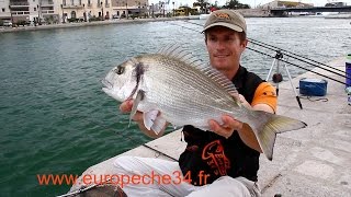 Pêche des grosses dorades de Sète par Europêche34 [upl. by Eda]