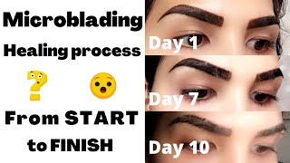 Microblading healing process from start to finish  Eyebrows experience  VLOG [upl. by Inalaehak]