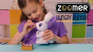 Zoomer  Hungry Bunnies  How To [upl. by Angelo]