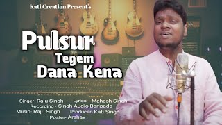 Pulsur Tegem Danakena  New Mundari Song 2024  Raju Singh  Kati Creation [upl. by Amol191]