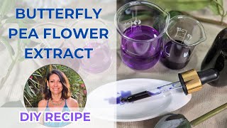 How to Make Butterfly Pea Flower Extract for Skincare Magical Color and Skin Benefits [upl. by Airad]