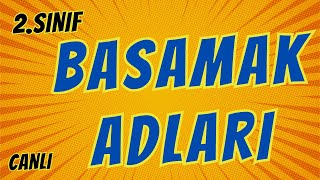 2Sınıf Basamak Adları ve Değeri Bulma [upl. by Rilda]