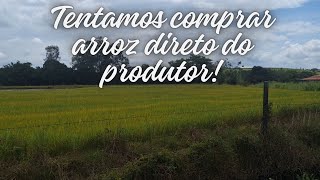 tentamos comprar arroz direto do produtor [upl. by Enamrahc154]