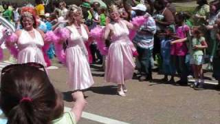 St Patricks Day Parade in Jackson [upl. by Coridon]