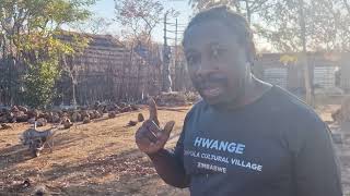 Building the Biggest Mbira instrument in rural Zimbabwe 🇿🇼 [upl. by Llehcram]