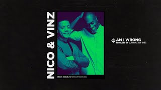 Nico amp Vinz  Am I Wrong Instrumental [upl. by Naffets]