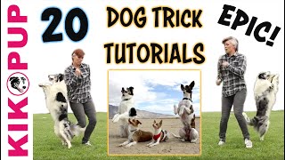 DOG TRICKS  20 Trick Tutorials [upl. by Notnroht]