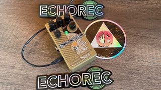 Catalinbread Echorec unboxing amp ambient sound demo  no talking [upl. by Edmund]