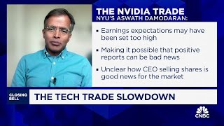 Mag 7 companies have shown weak spots in past few months says NYUs Aswath Damodaran [upl. by Lorain50]