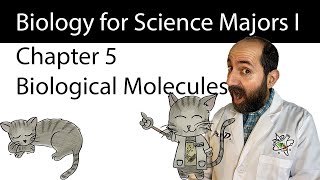 Chapter 5 – The Structure and Function of Large Biological Molecules [upl. by Salene]