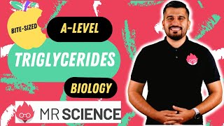 Triglycerides  Lipids  Bitesized  Alevel Biology  Mr Science in 8K [upl. by Nonnahsal]