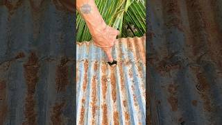 Waterproofing Treatment For Roof Cracks and Galvanized Roofing viral shortvideo waterproofing [upl. by Udella]