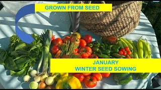 Winter Sowing January Zone 7 [upl. by Artina121]