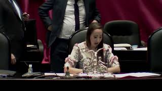 Votación  Ley General de Acceso de las Mujeres a una Vida Libre de Violencia [upl. by Lleinnad]