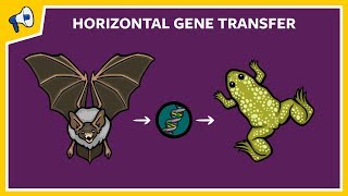 What is Horizontal Gene Transfer [upl. by Boulanger]