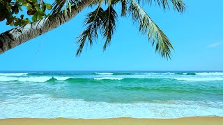 Tropical Beach Ambience  White Noise for Stress Relief Meditation amp Sleep  10 Hours [upl. by Okime]