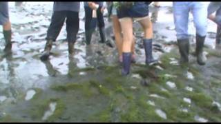 Wadlopen met kazou op ameland [upl. by Aivonas]